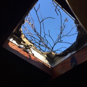 Burned Skylight