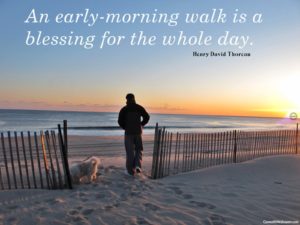 daily-morning-walk-4