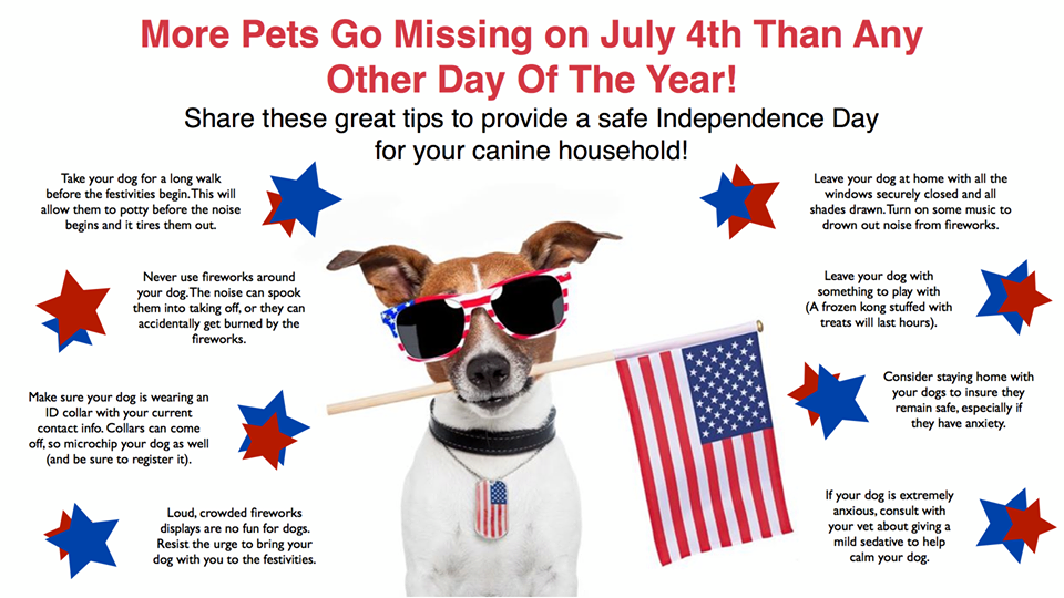4th-of-july-pet-safety1