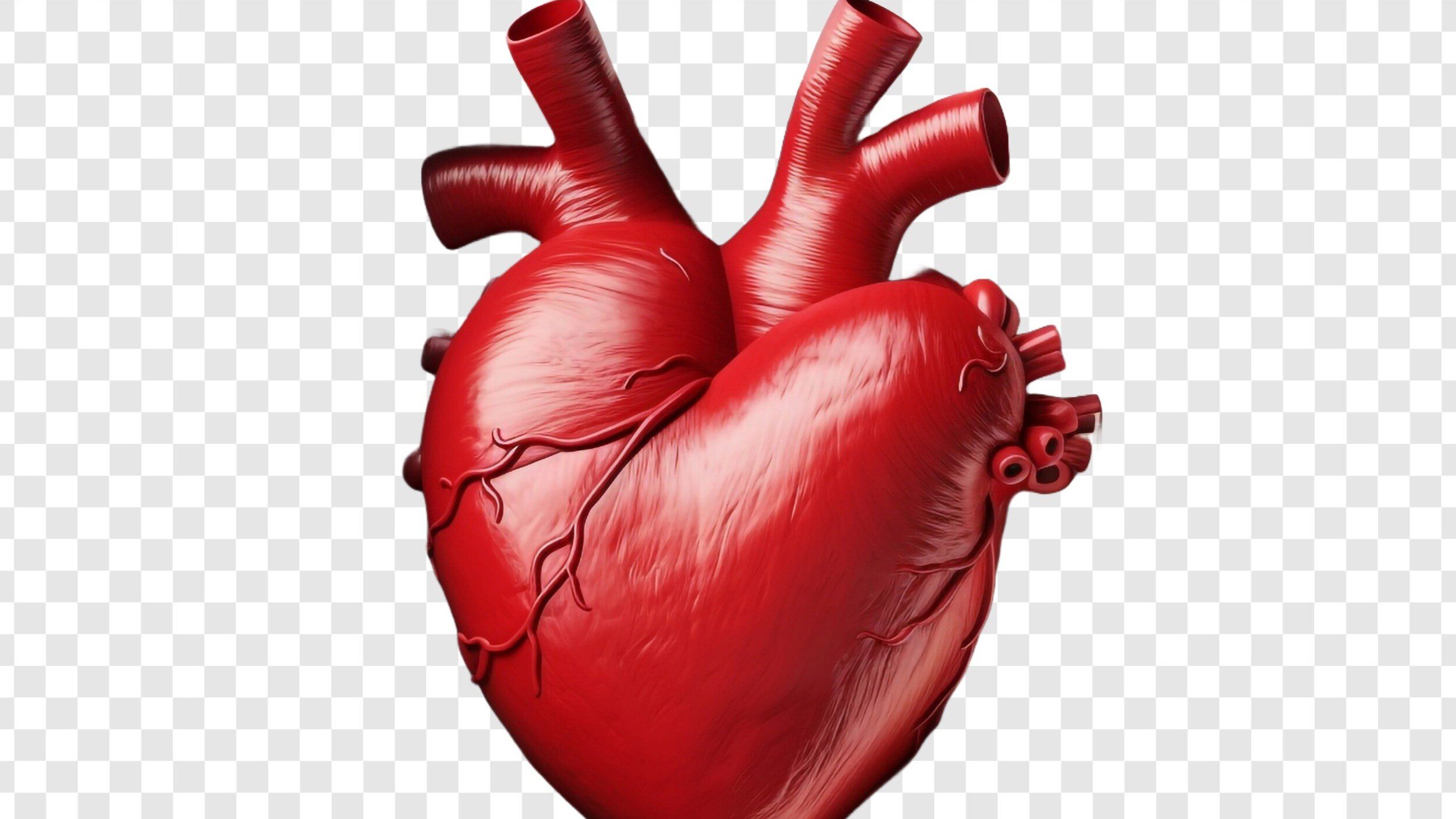Heart Image
