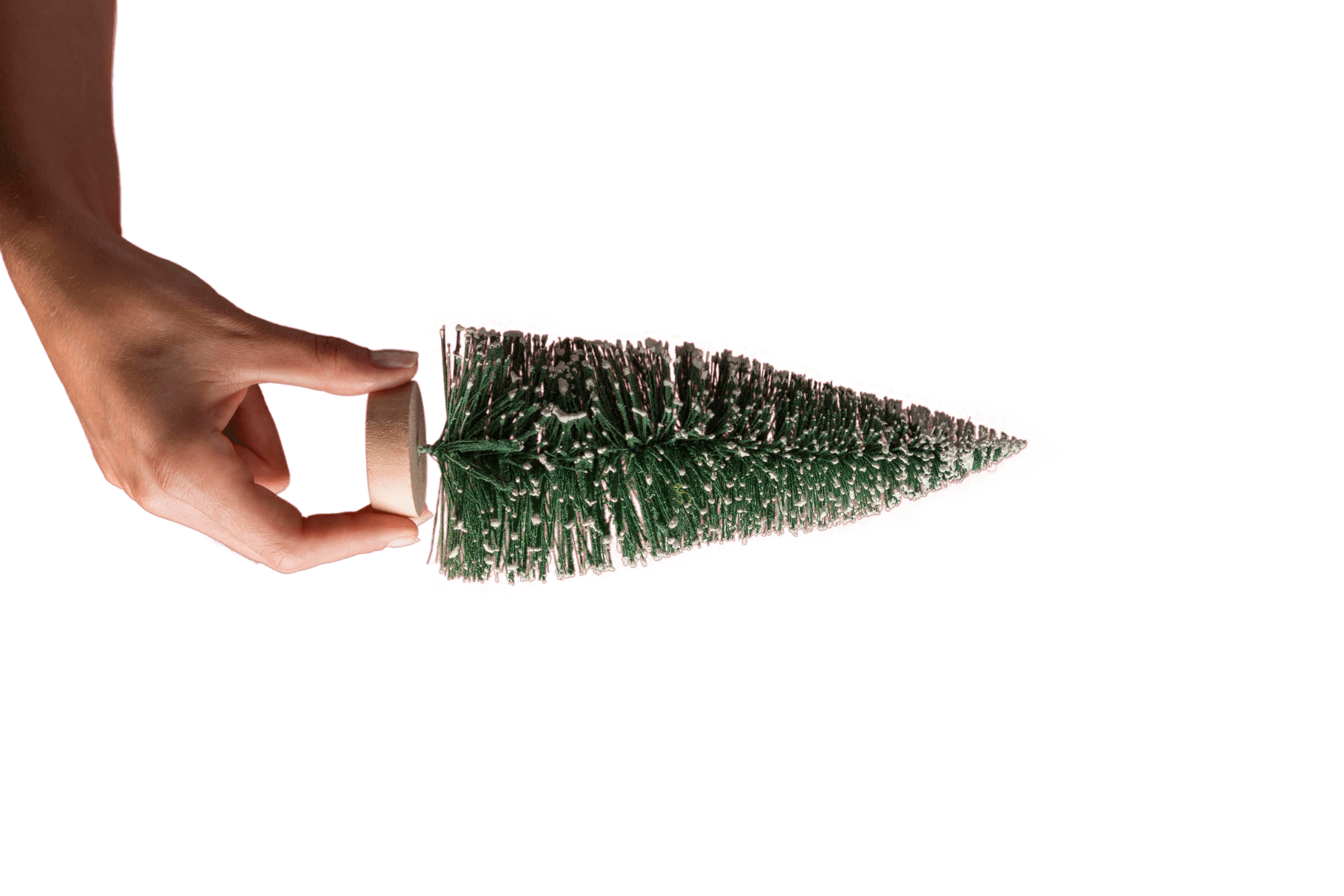 Hand holding small christmas tree