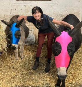 Woman stood between two donkeys in a stable.