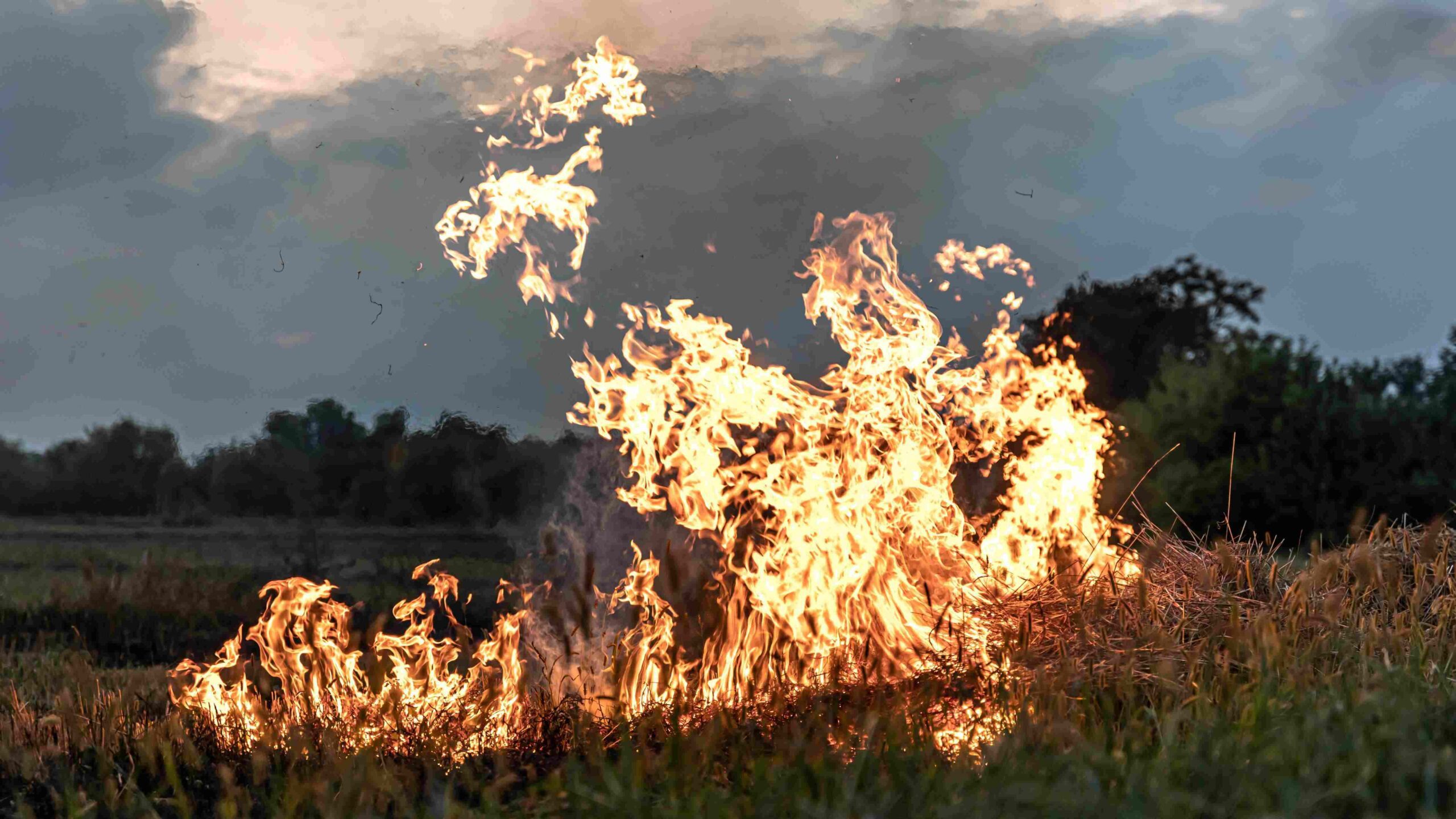 Photo of brush fire from a slight distance.
