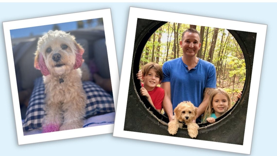 Patrick Botz with Stella the dog and children.