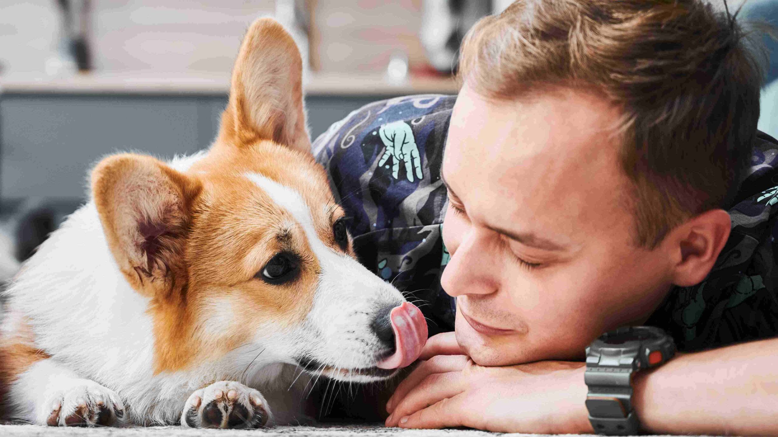 Man with corgi dog.