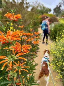 1st Place: Alicia Barreto