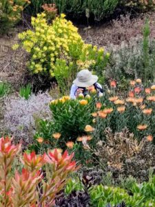 TracyNewman_2ndPlace_Peoples