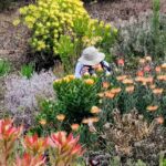 Tracy Newman -2nd Place