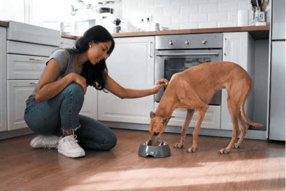 HSVC Offers Free Pet Food to Keep Pets in Homes and Out of Shelters