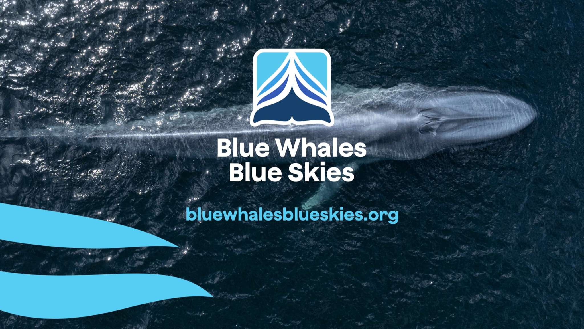Blueskies logo