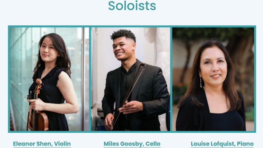 Chamber Orchestra soloists