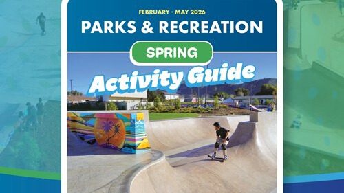 Cover of Activity Guide