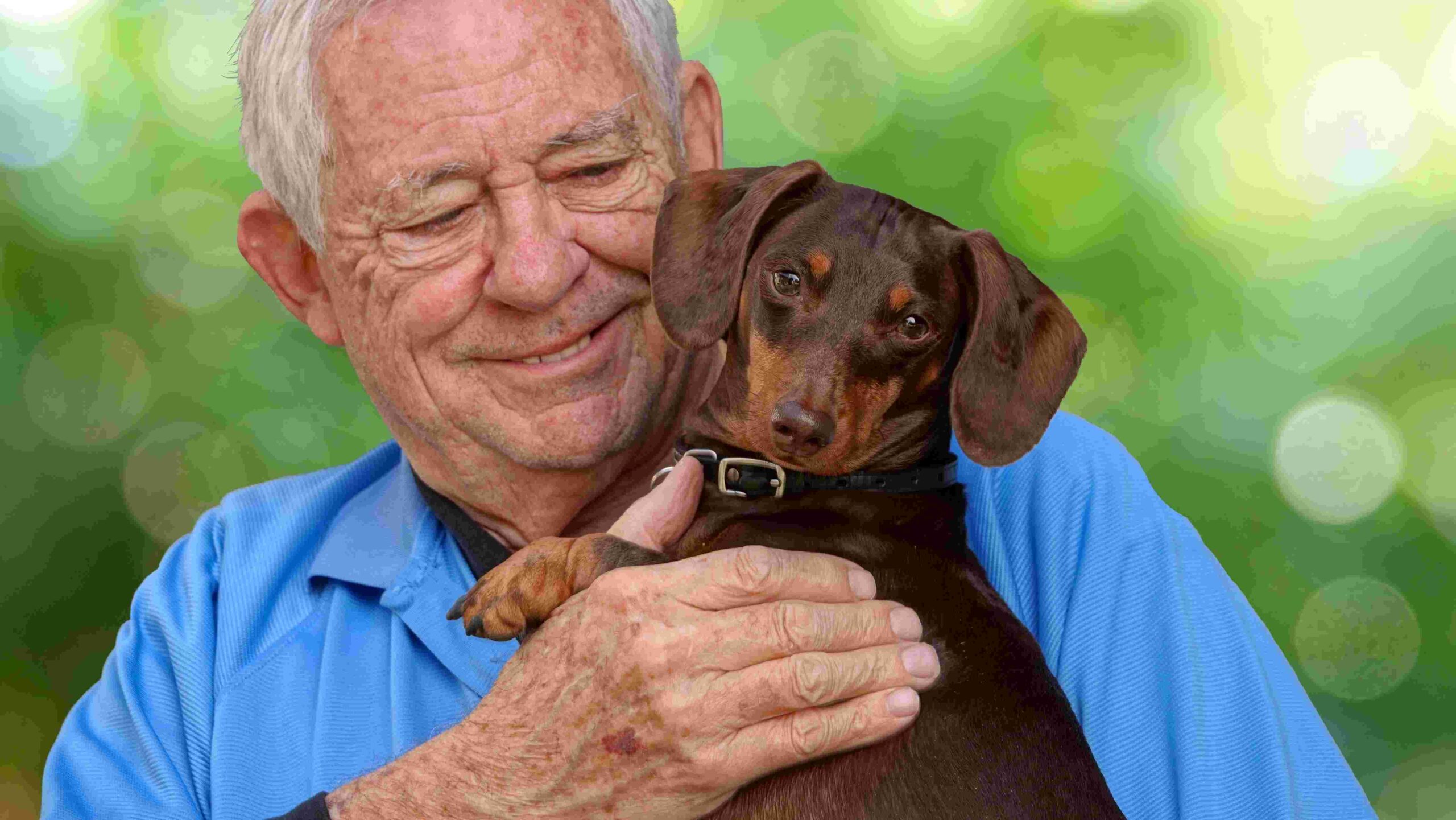 Senior man holding and smiling at a small brown dachshund dog.