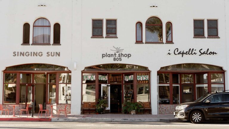 Plant Shop 805 Annual Parking Lot Plant sale