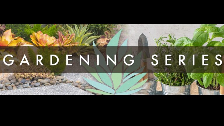 City of Ventura Gardening Series