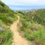 Court Upholds Public Access to Hall Canyon Road for Now