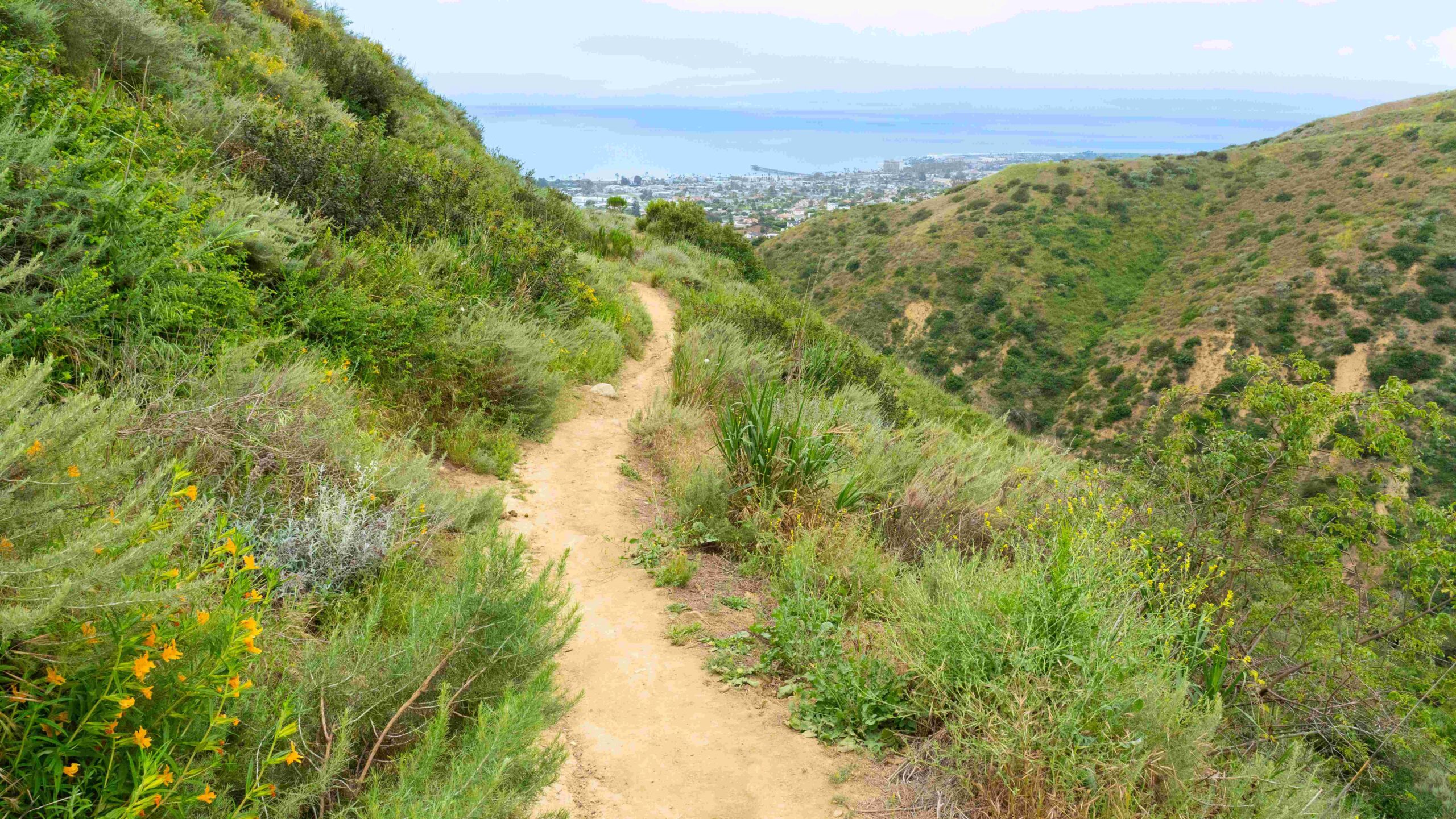 Image of Ventura Hills Nature Preserve