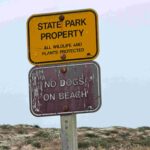 The Future of McGrath State Beach