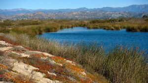 Photo of McGrath State Park