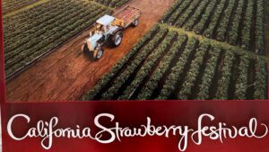 California Strawberry Festival 40th Anniversary