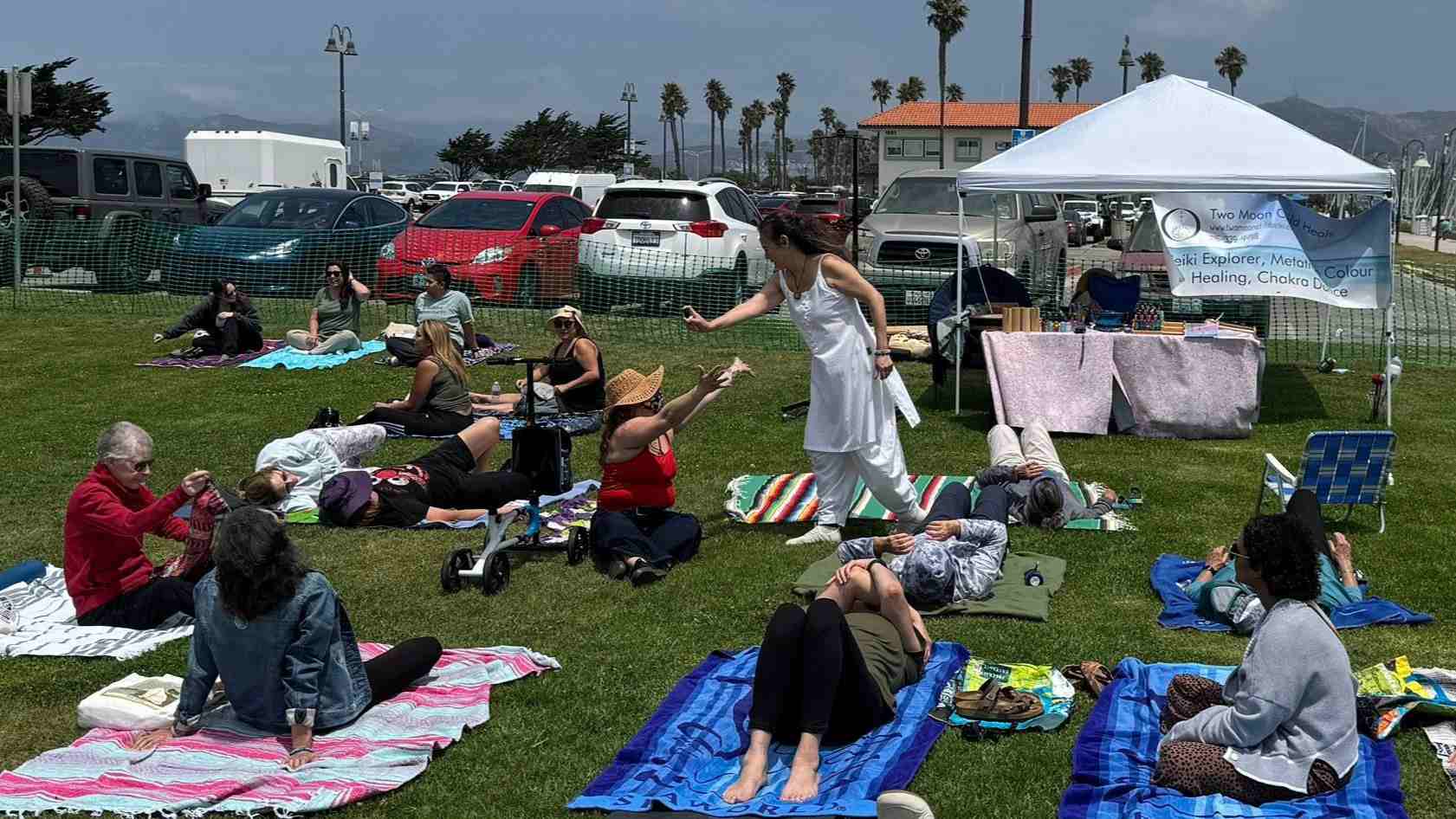 Ventura County Mental Wellness Festival at Ventura Harbor Village