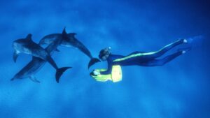 Margery Spielman with dolphins