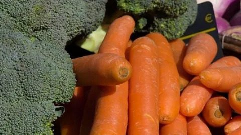 Master Gardener Class: Garden to Table – Growing Root Vegetables