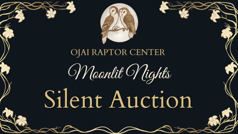 Ojai Raptor Center’s Moonlit Nights Silent Auction 2026