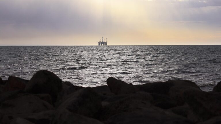 Hands Across the Sand – Statewide Rally