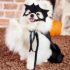 Pets_Dog_Halloween_Costume